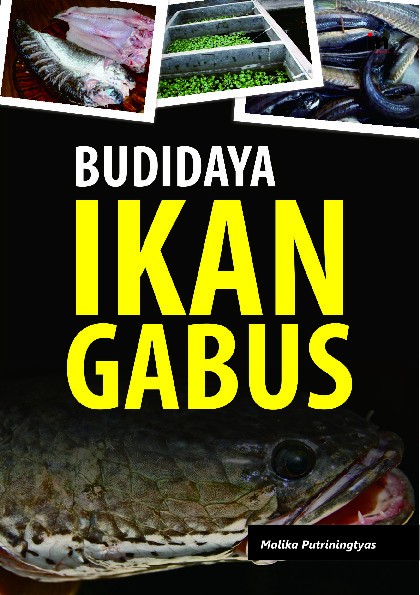 Budidaya Ikan Gabus